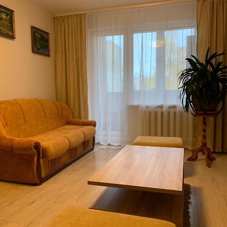 Cosy Appartment In Great Location Kaunas Exteriör bild